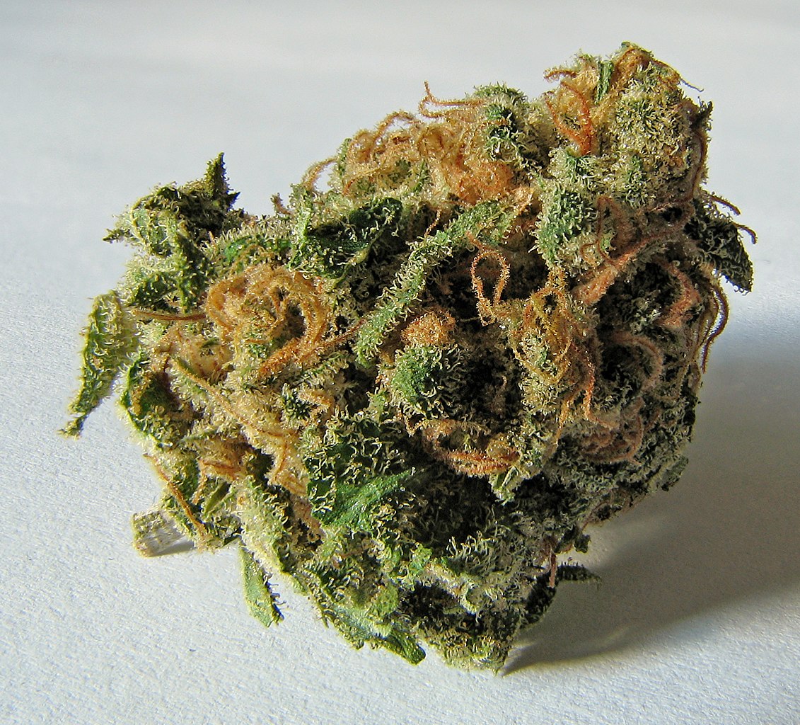 File:Macro cannabis bud.jpg